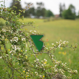 Pin's de randonnée Venntrilogie "Fagnes du Nord"