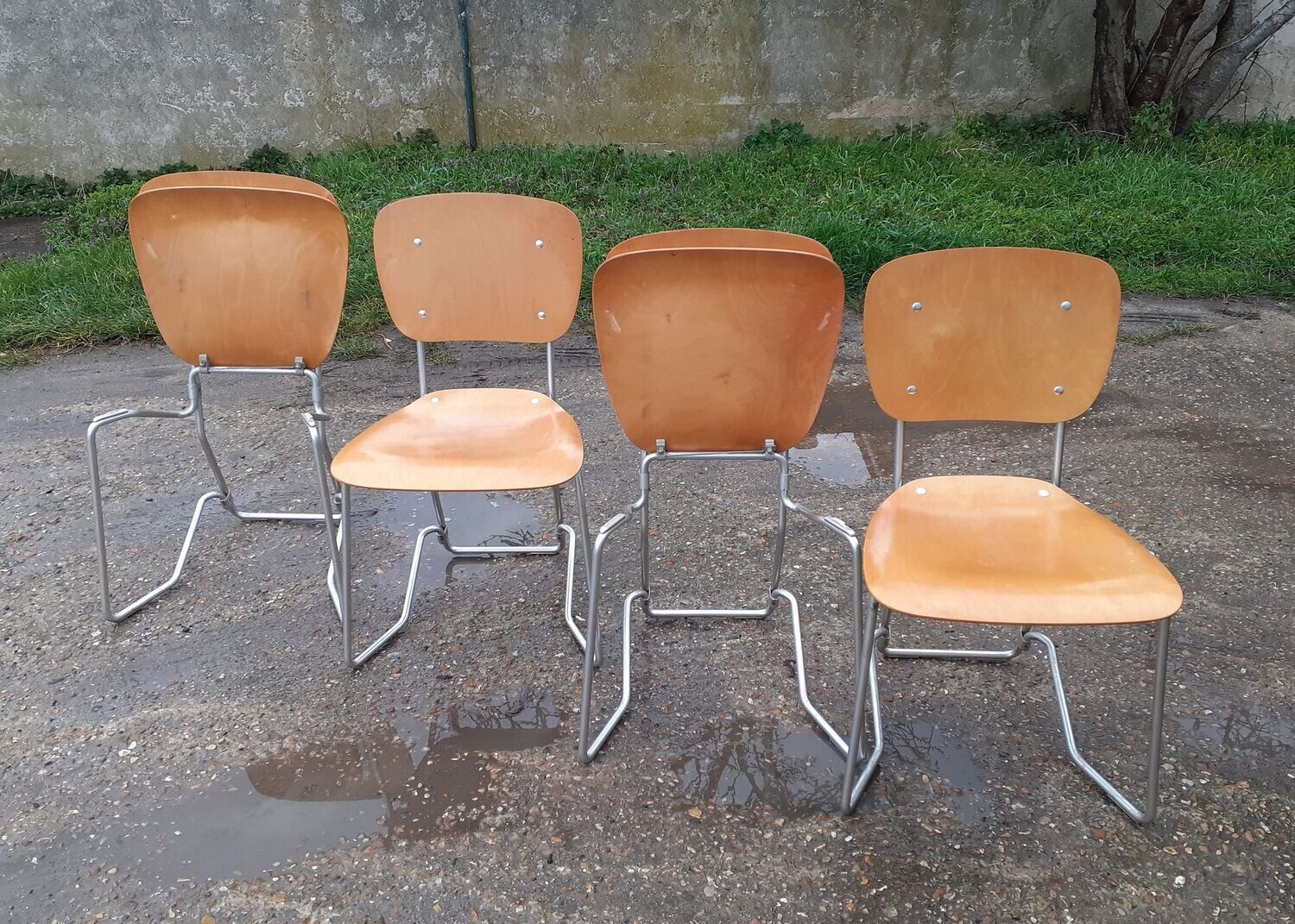 Chaises d'Armin Wirth