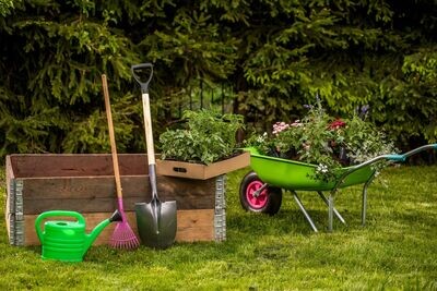 Jardin