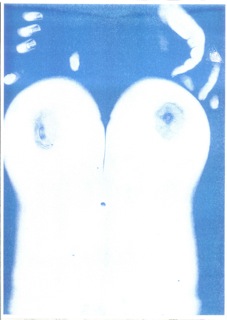 RISO Print A3 Torso n°12