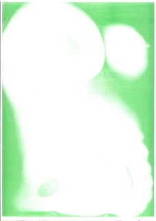 RISO Print A3 Torso n°20