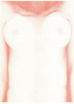 Torso's