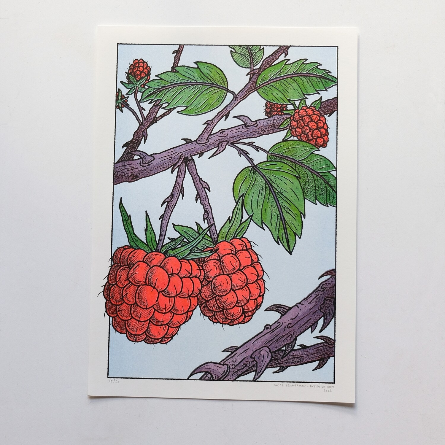 Red Blackberry | RISO  A3 by Lucas Temmerman - LE /60