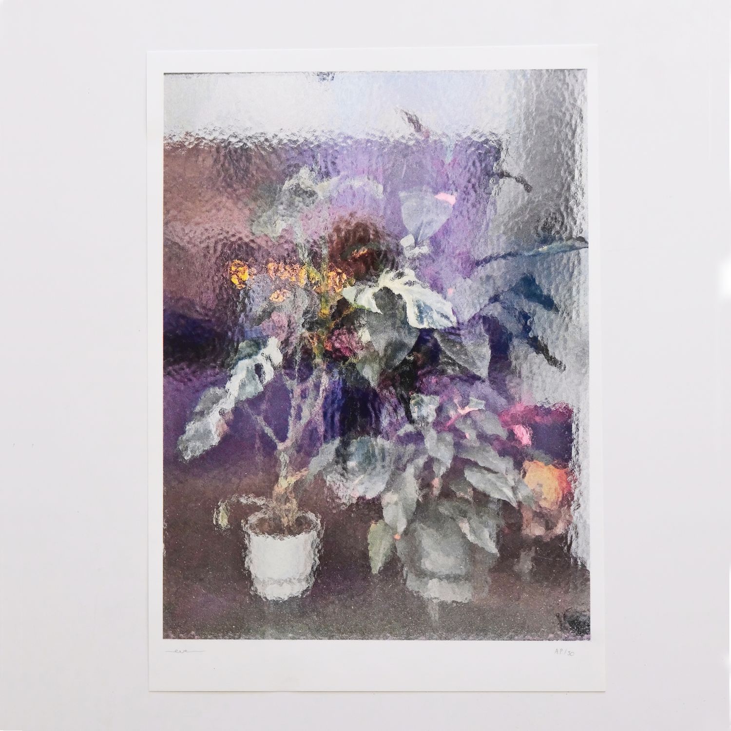Eveline Bouttens - POTM_May 2024 - LE /50