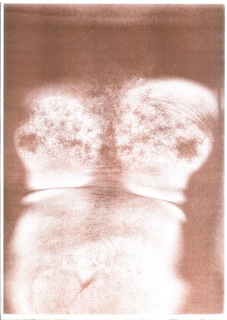 RISO Print A3 Torso n°11
