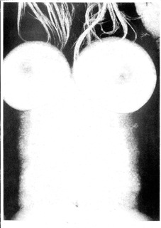 RISO Print A3 Torso n°18