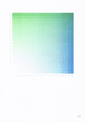 RISO Print A3 Jens Wijnendaele limited edition /50