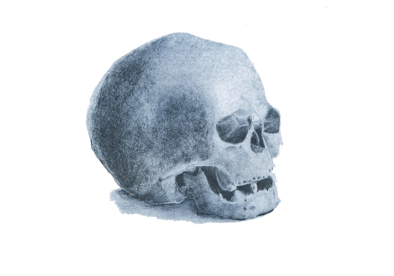 RISO Print A3 Melanie De Munck - LE /50