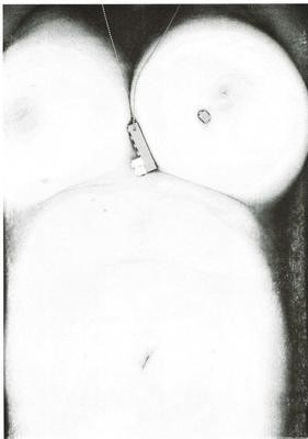 RISO Print A3 Torso n°41
