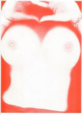 RISO Print A3 Torso n°36