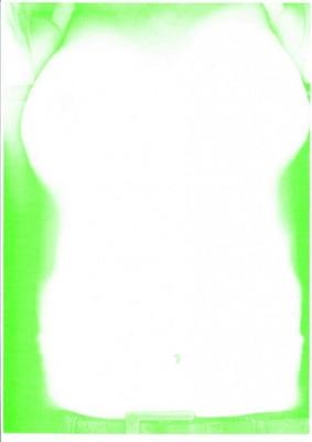 RISO Print A3 Torso n°43