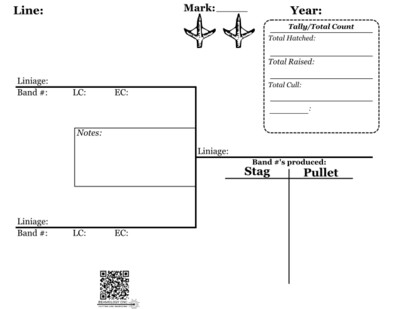 Brood Tracking Sheets