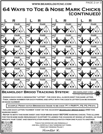 64 Ways to Mark Chicks (+) Brood System