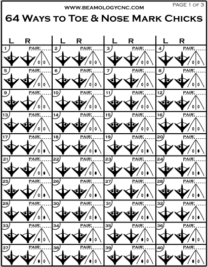 64 Ways to Mark Chicks (+) Brood System