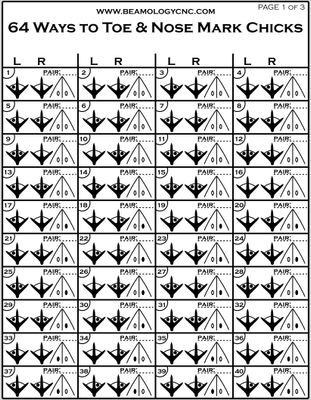 64 Ways to Mark Chicks (+) Brood System