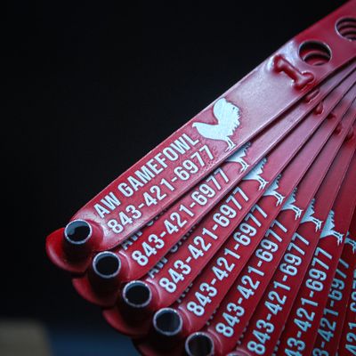 Laser Engraved Poultry Leg Bands
