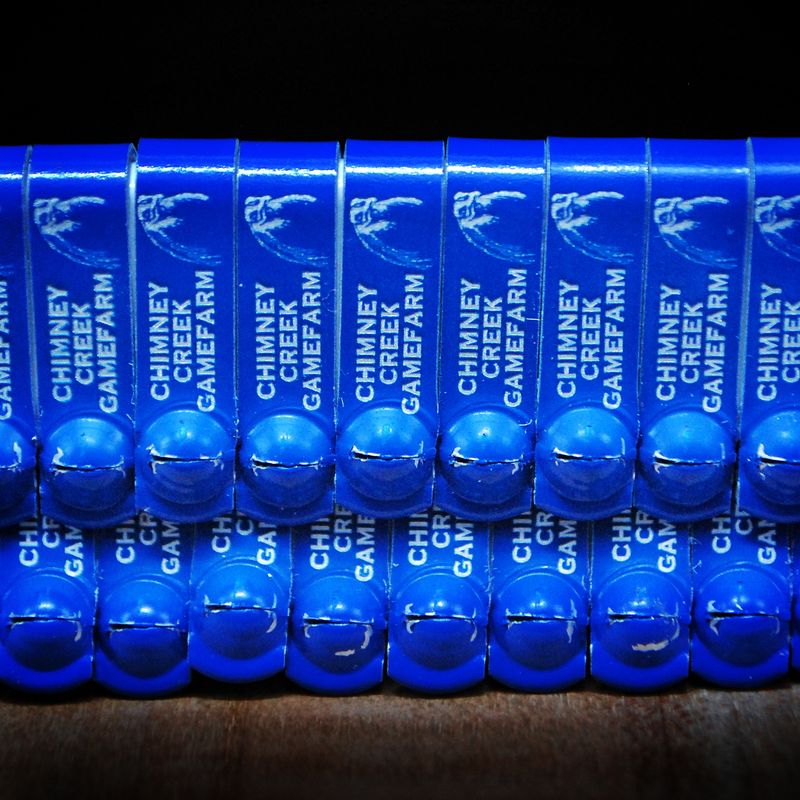 Laser Engraved JIFFY Wing Bands