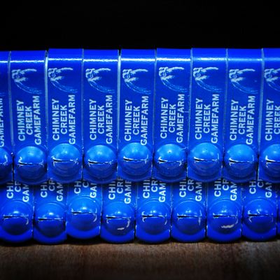 Laser Engraved JIFFY Wing Bands