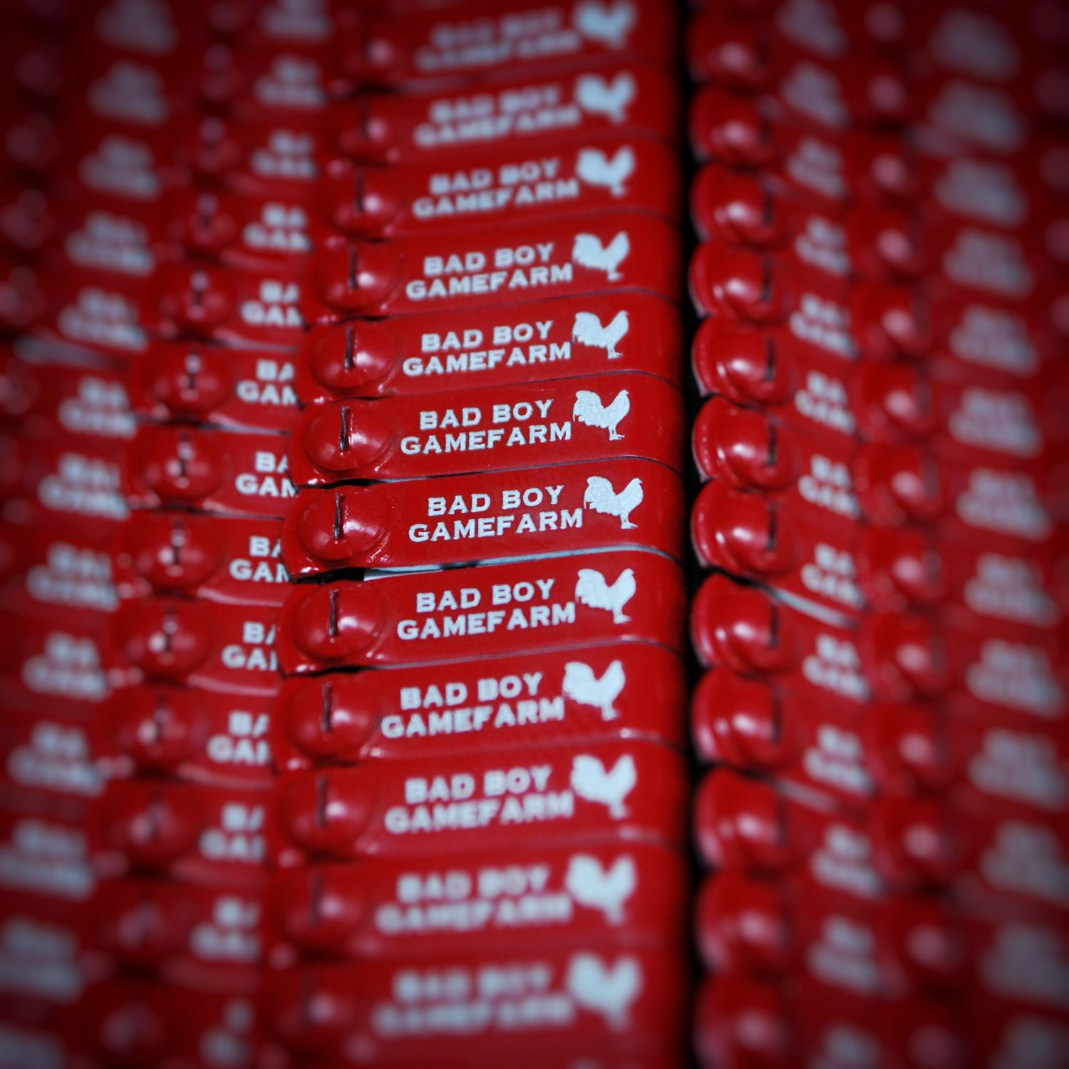 Laser Engraved JIFFY Wing Bands