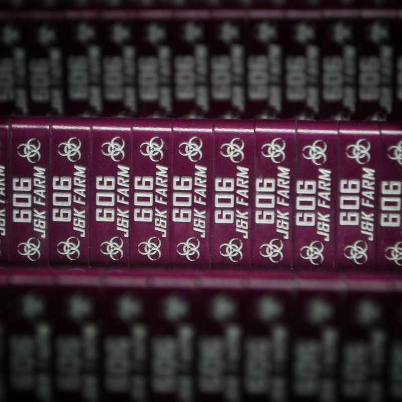 Laser Engraved ZIP Wing Bands