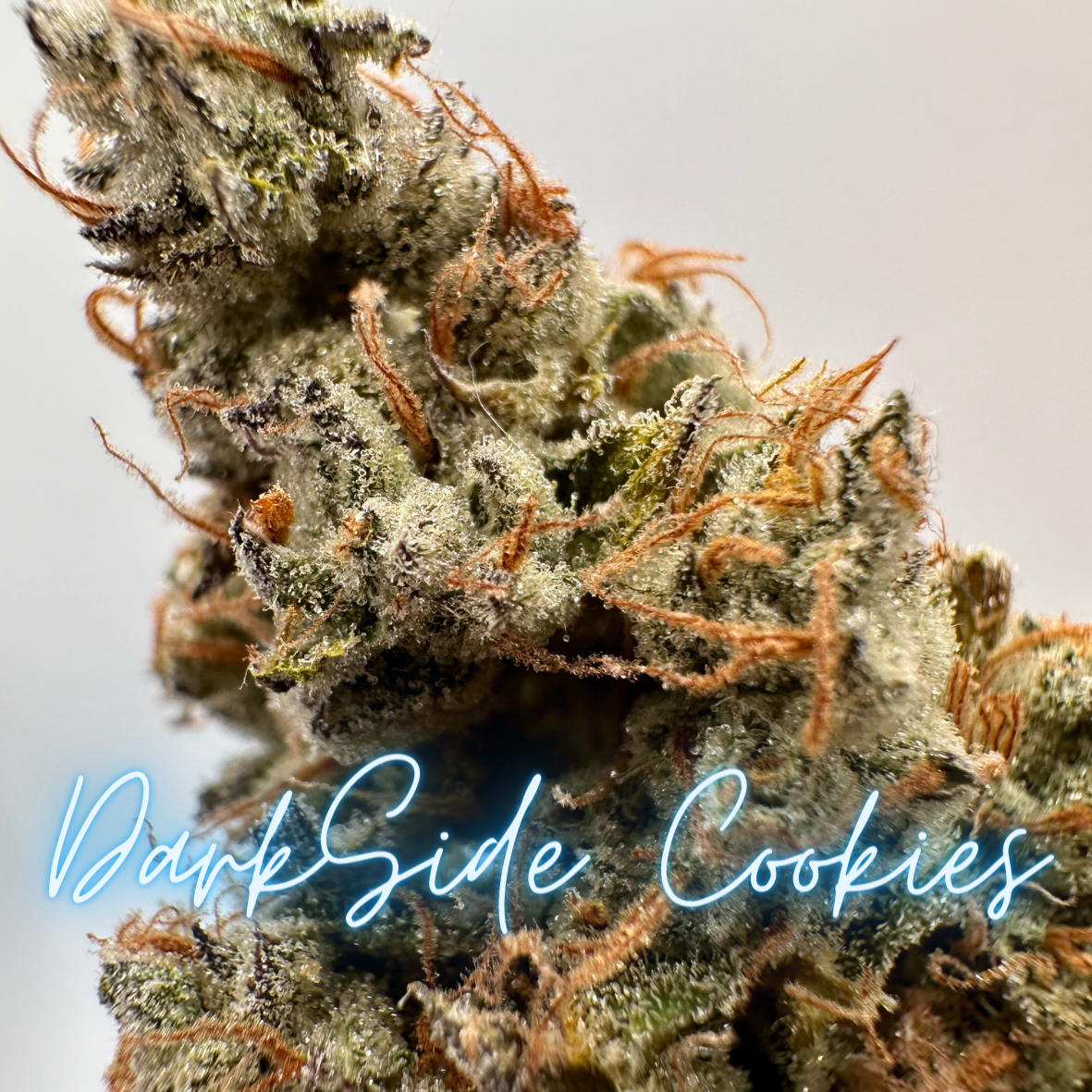 DarkSide Cookies (FEM)