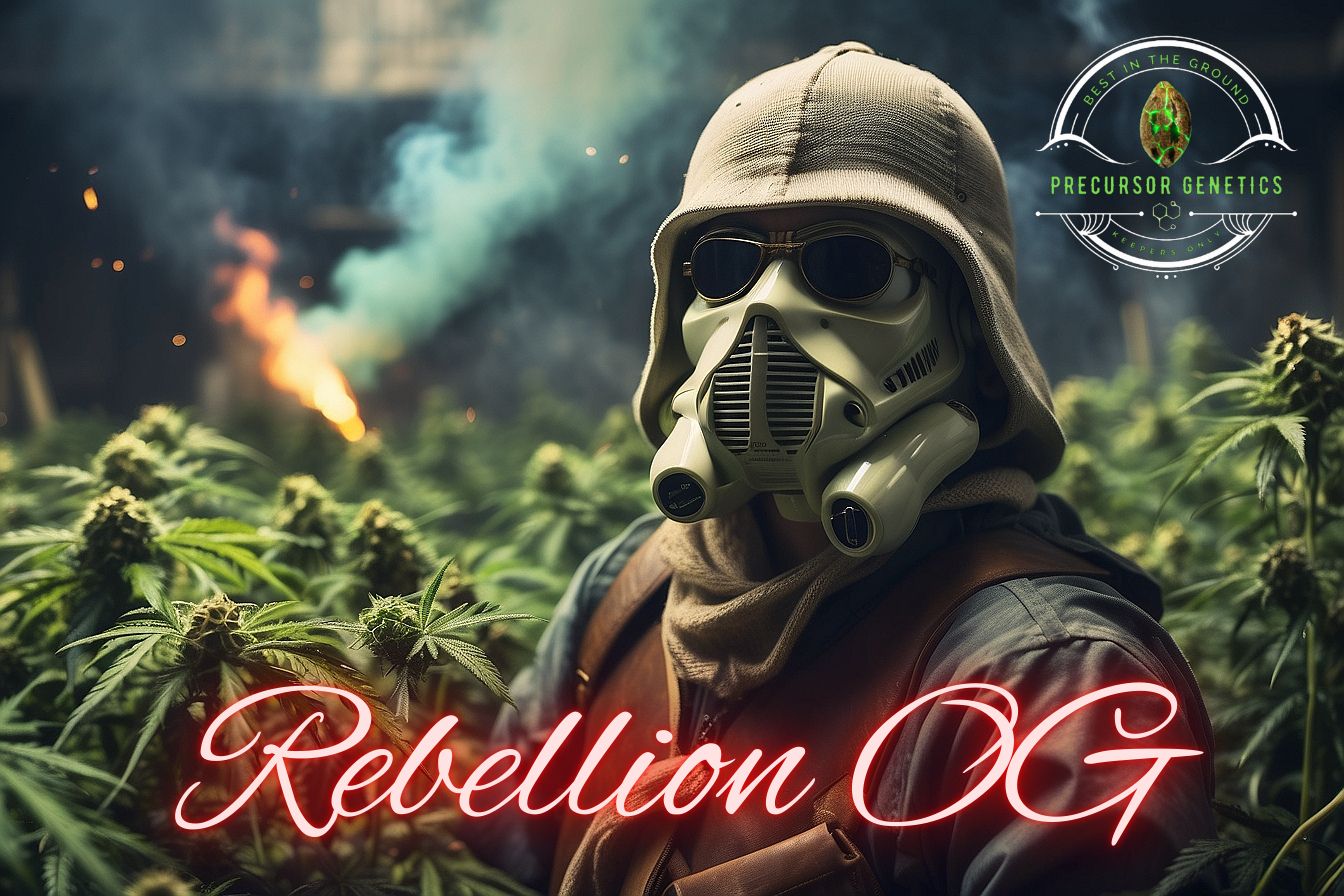 Rebellion OG