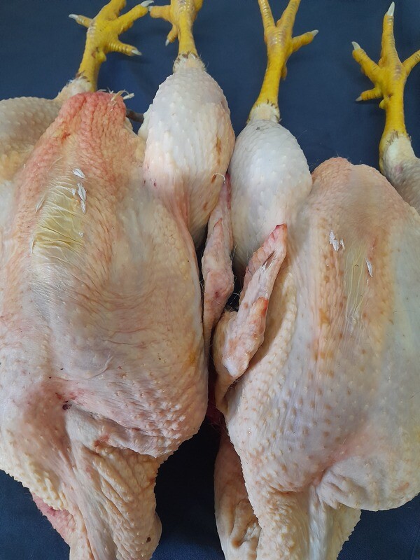Pollo de Campo 3 kg