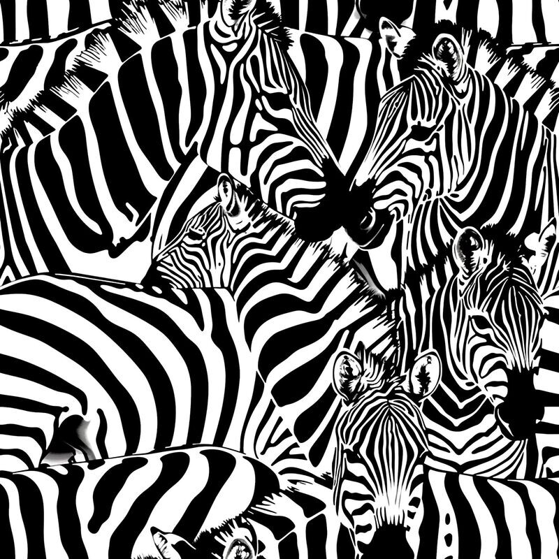 Animal Print 11