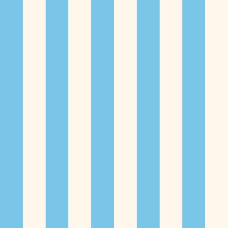 SC019