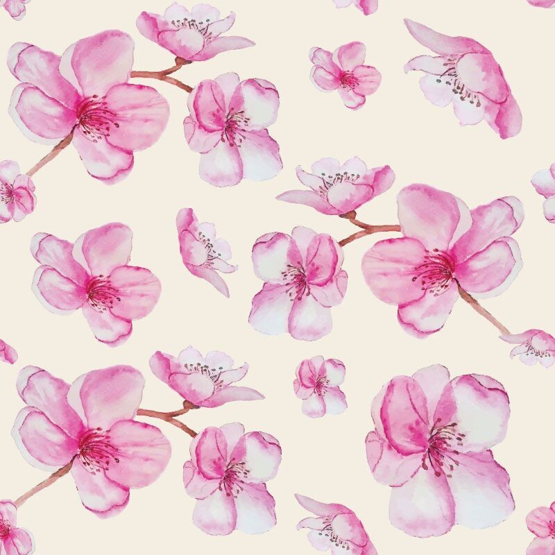 Cushion FL024