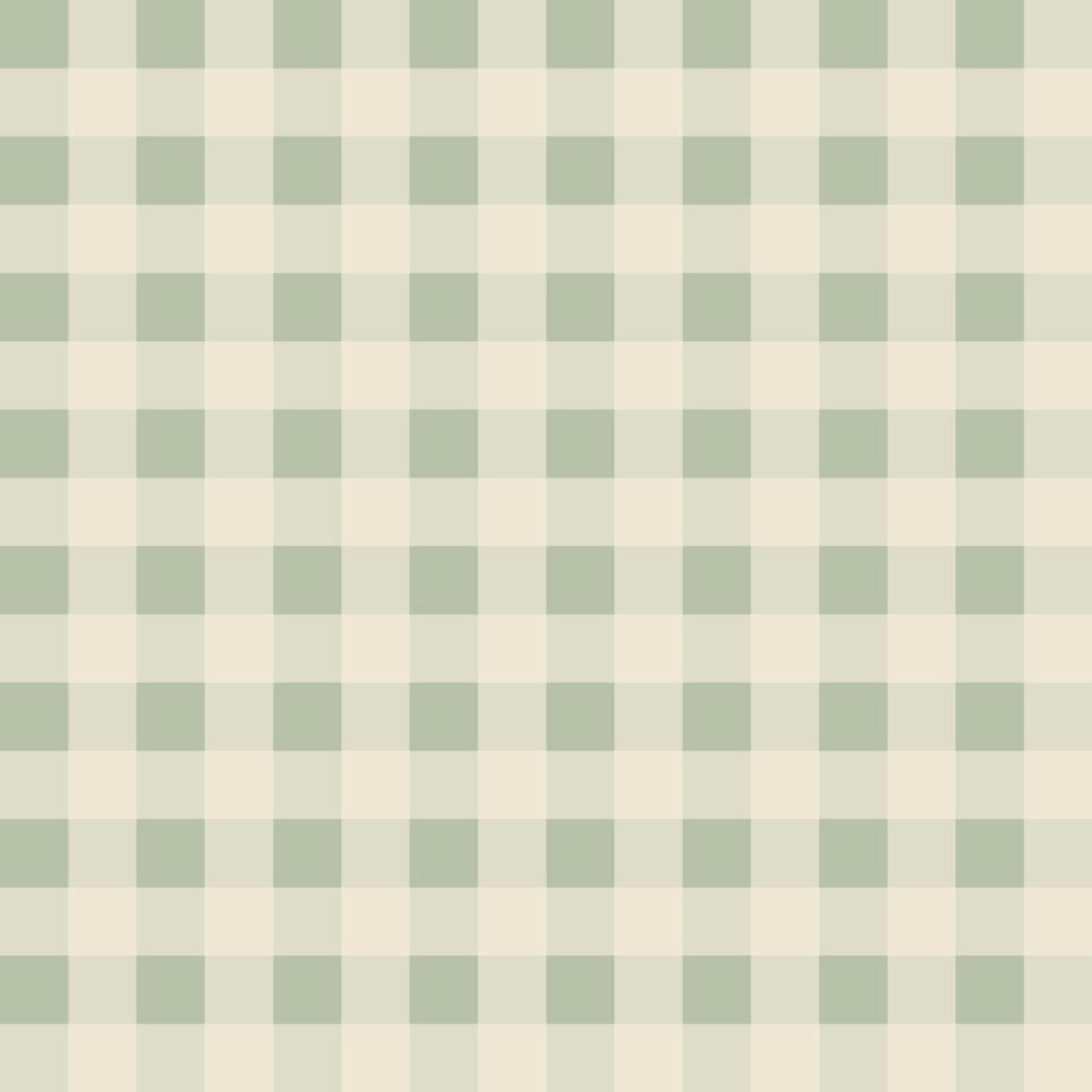Cushion SC007