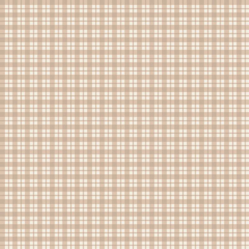 Cushion SC009