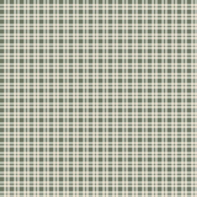 Cushion SC011