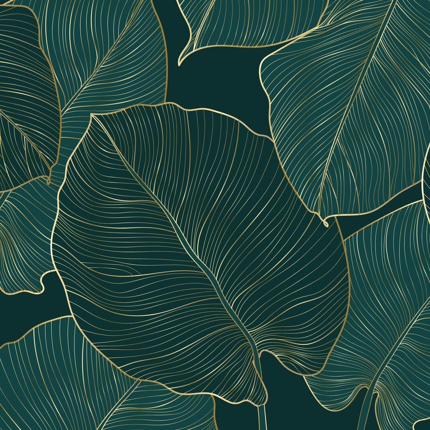 Curtain FL016