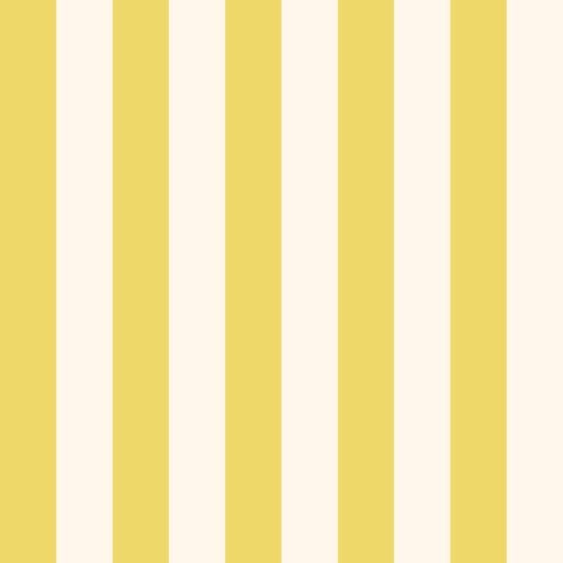 Curtain SC013