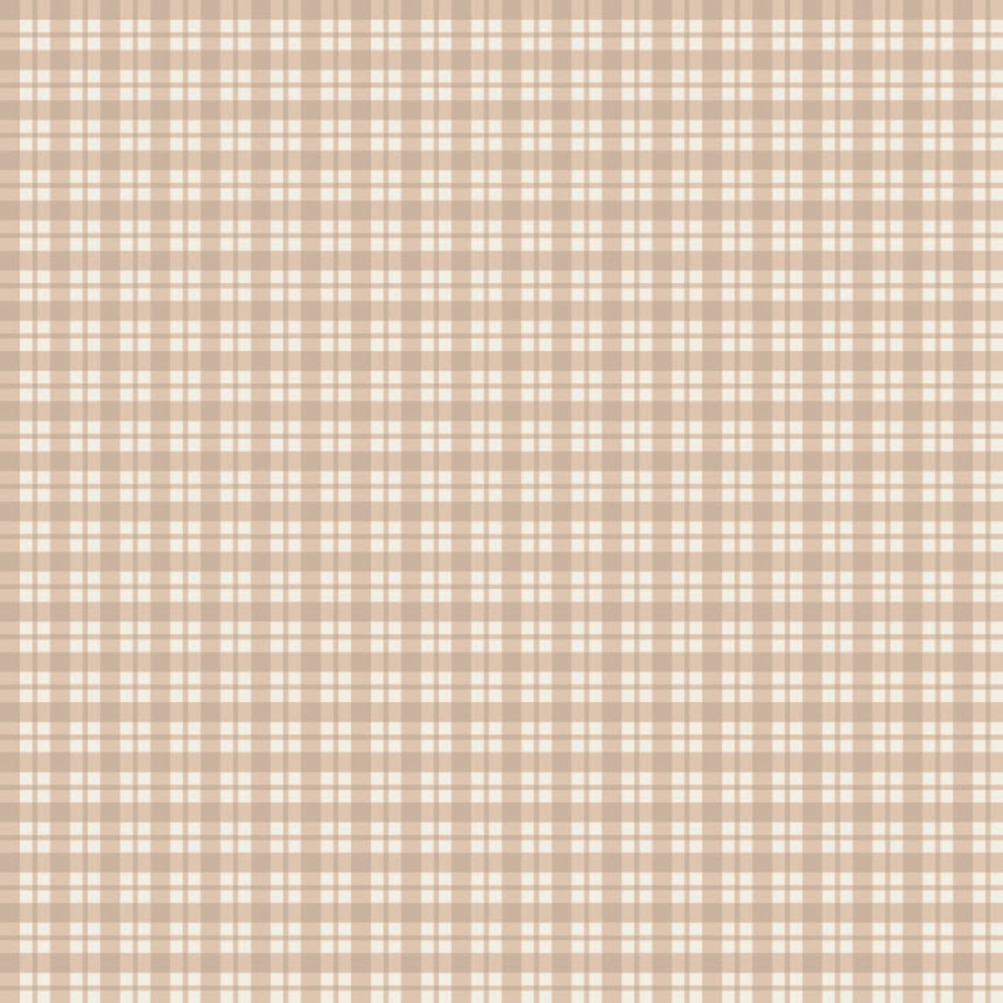 Curtain SC011
