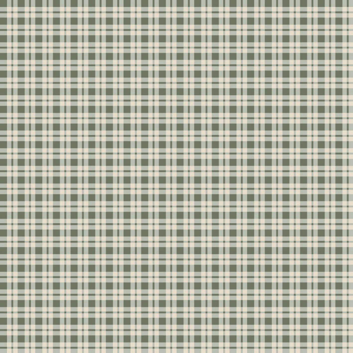 Curtain SC012