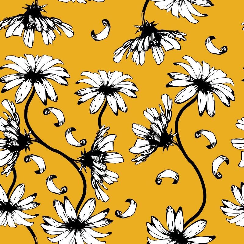 Seasonal Curtain