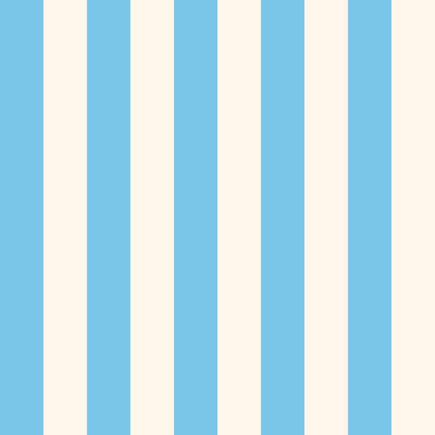 Tablecloths & Napkins SC019