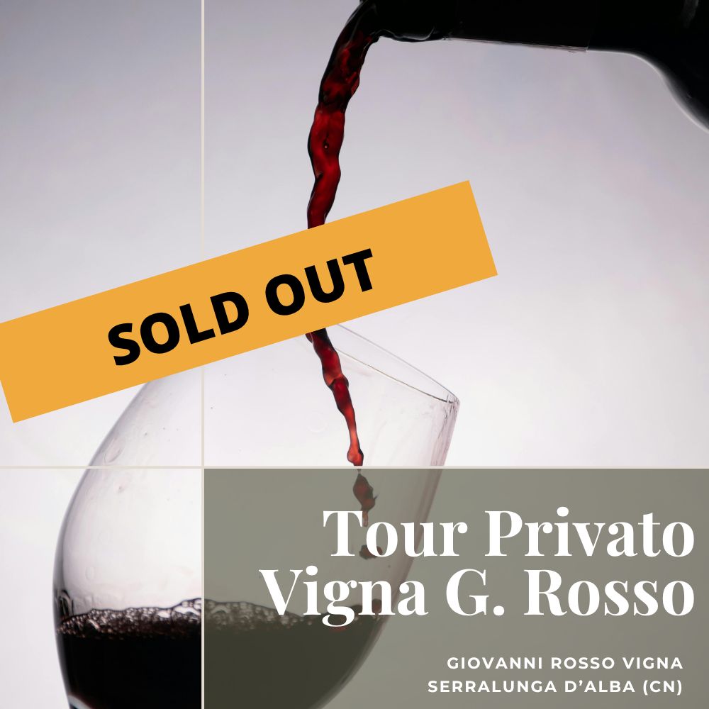 2x1 Giovanni Rosso - Tour Privato della vigna in 4X4 + Degustazione 6 vini + tagliere
