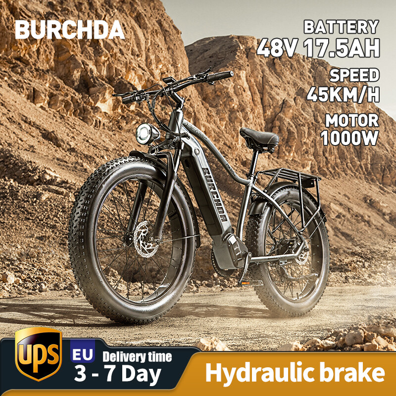 45KM/H Electric Bicycle for Germany Sightseeing and Day Trips