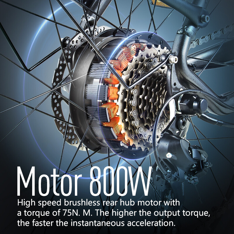 800W Electric Mountain Bike for European Adventures