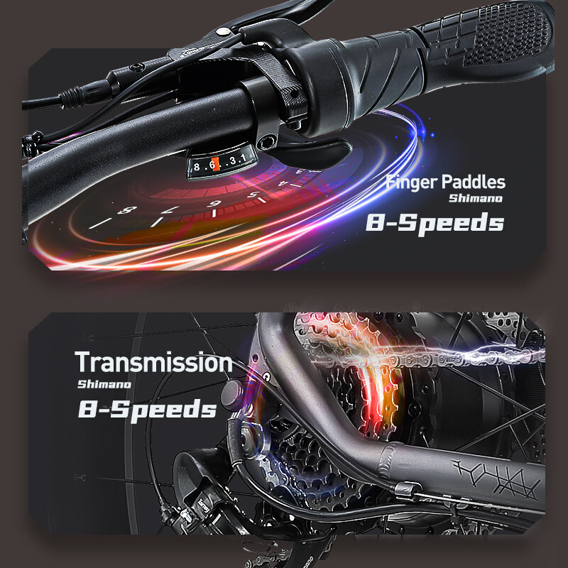45KM/H Electric Bicycle for Germany Sightseeing and Day Trips