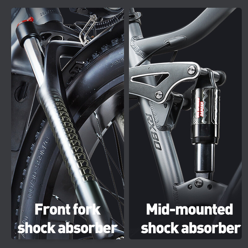 Affordable Electric Bicycle with Removable Battery