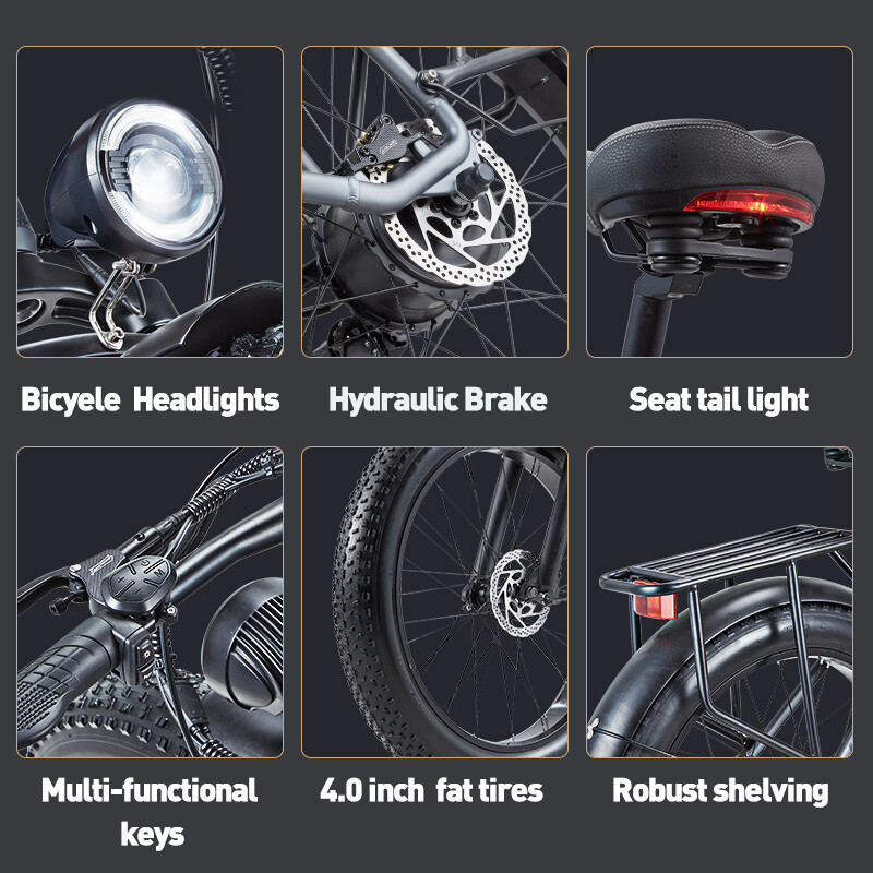 Affordable Electric Bicycle with Removable Battery