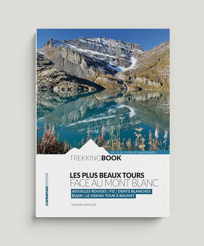 Les Plus Beaux Tours face au Mont Blanc