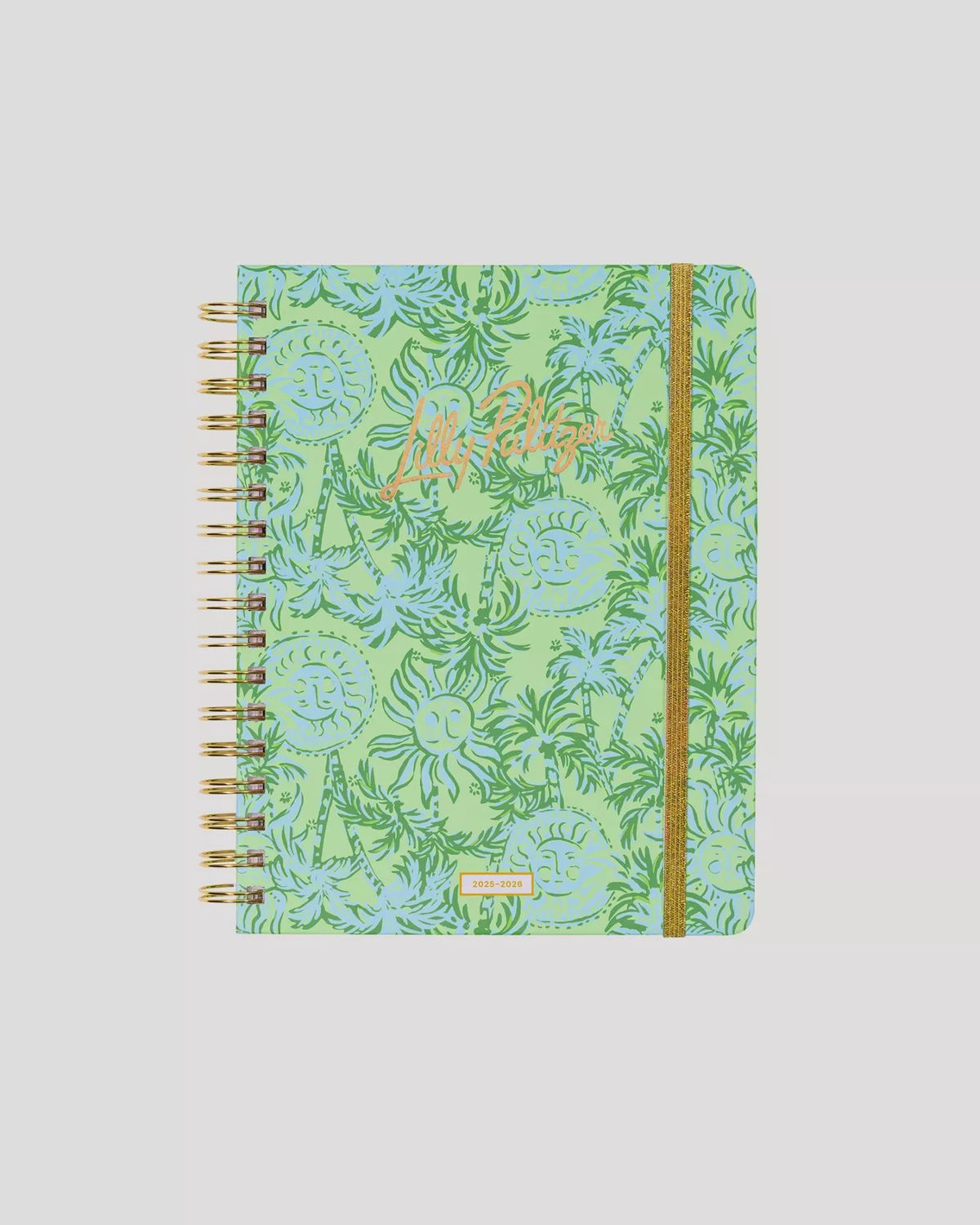 Large 17 Month Agenda, Pattern: Catchin Rays