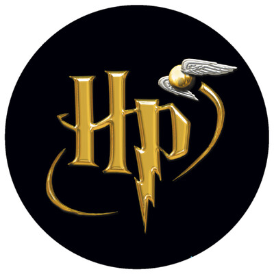 10 portachiavi Harry Potter Grandi 4cm zaino scuola