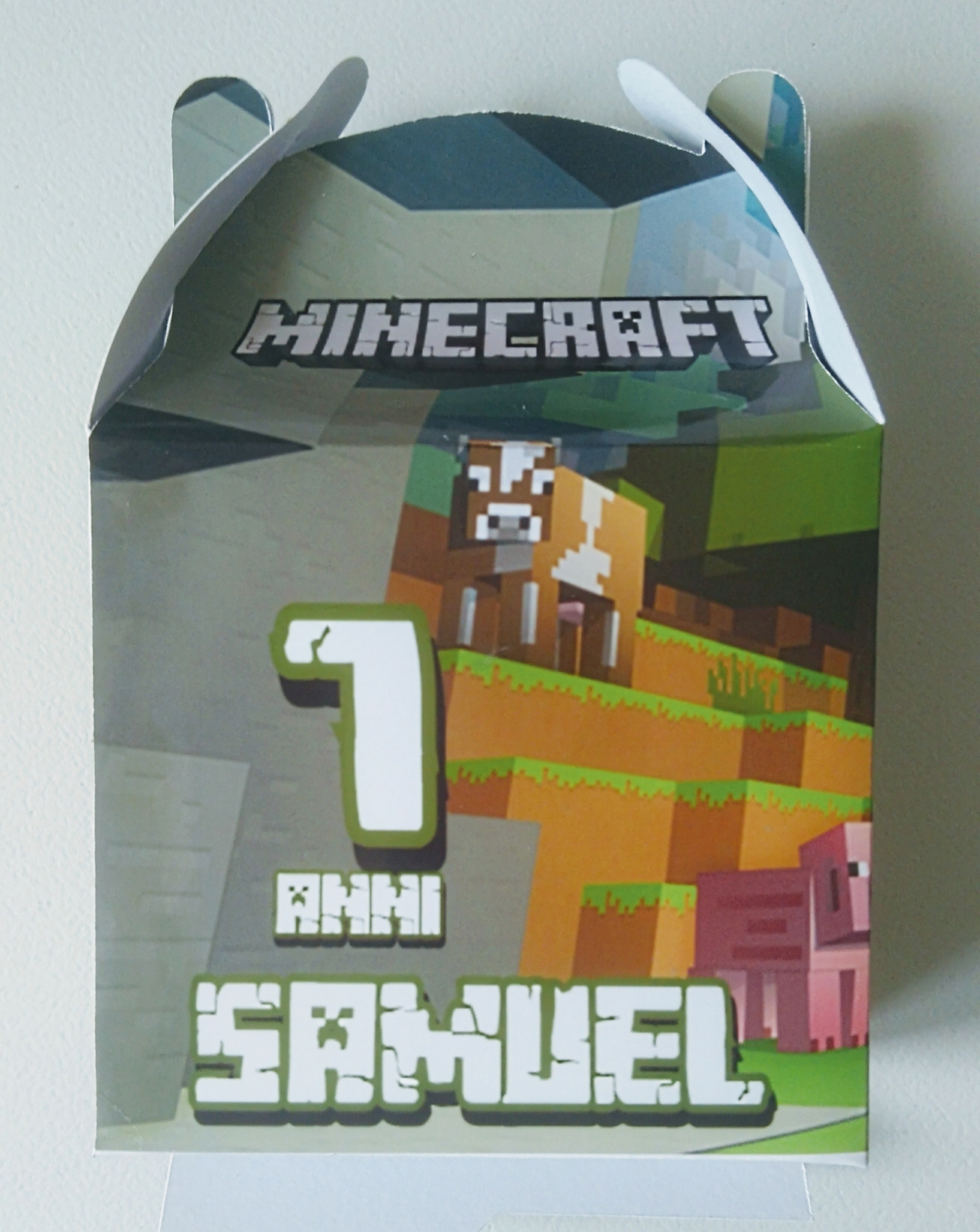 Scatole regalo Minecraft personalizza festa fai da te