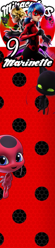 30 Barrette Kinder classica maxi Miraculous personalizza segnaposto